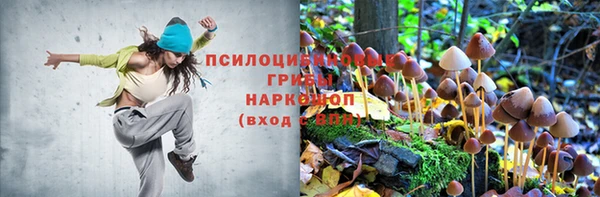 не бодяженный Абинск