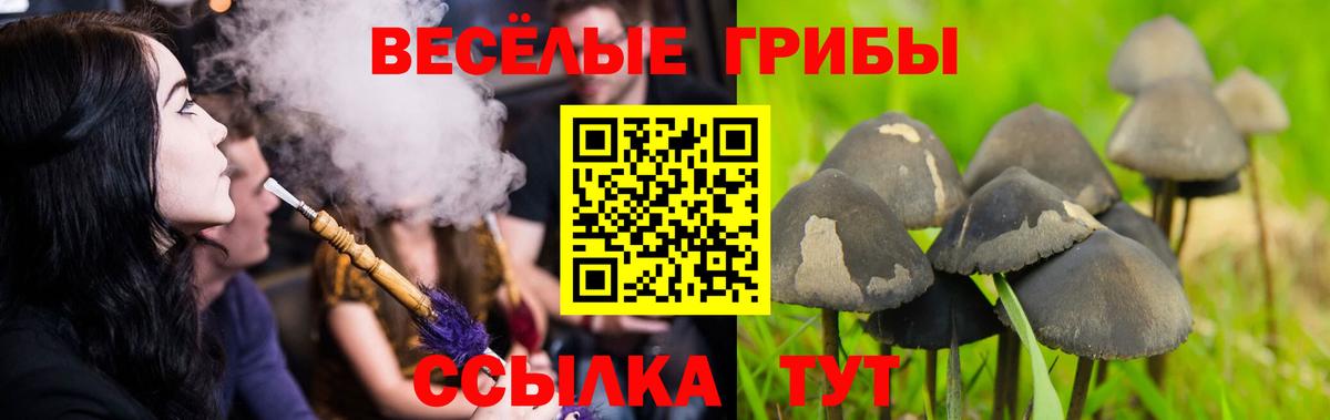 Галлюциногенные грибы Magic Shrooms  Вход с VPN  Кизляр 